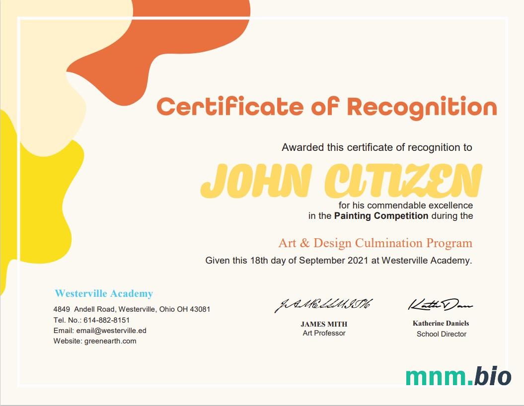 USA Painting Award cert